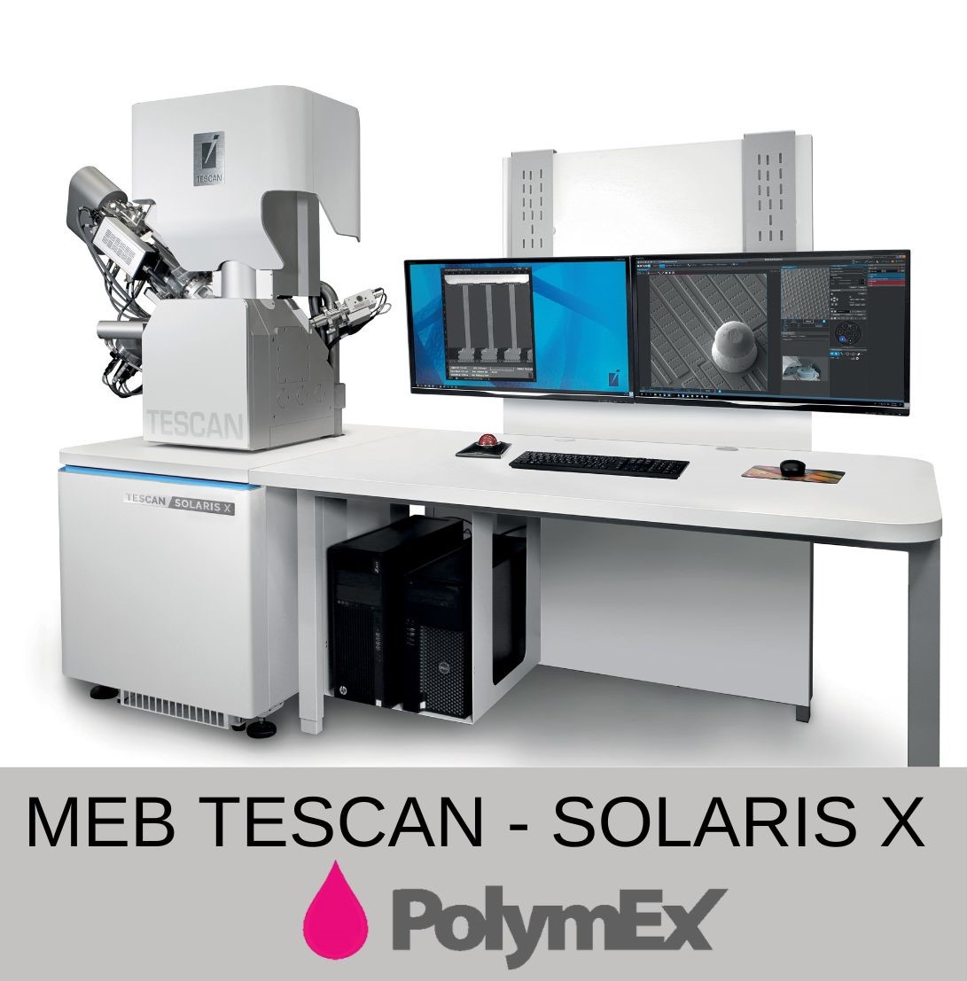 Analyse MEB/EDX